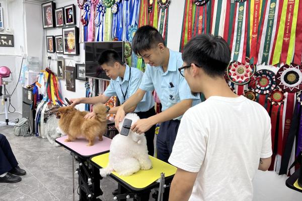 寵物美容工作面面觀